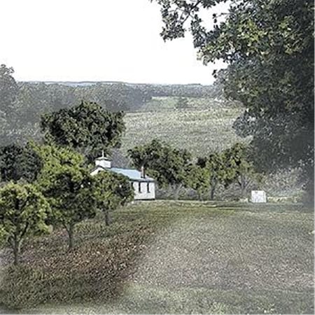 Thinkandplay 0.75-2 ft. RM Mixed Green Trees, 38 tree TH1790045